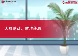 [FLASH短片播放]大额确认，欺诈侦测